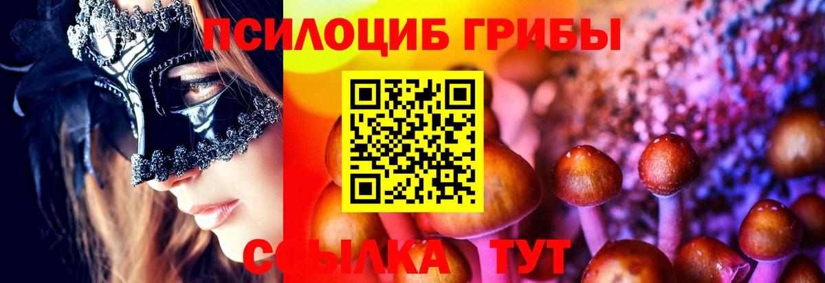 Галлюциногенные грибы ЛСД Сальск