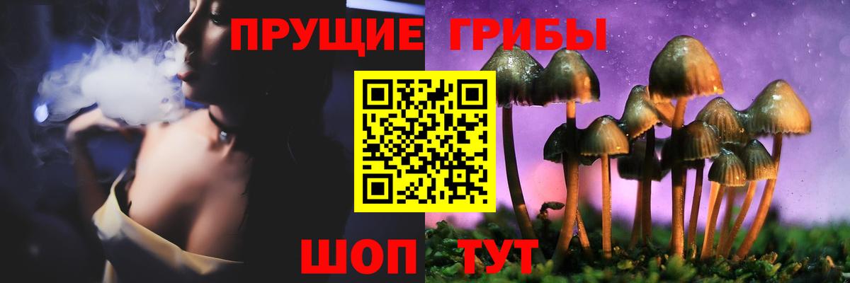 Сальск  Псилоцибиновые грибы мухоморы  Вход с VPN  Галлюциногенные грибы прущие грибы 