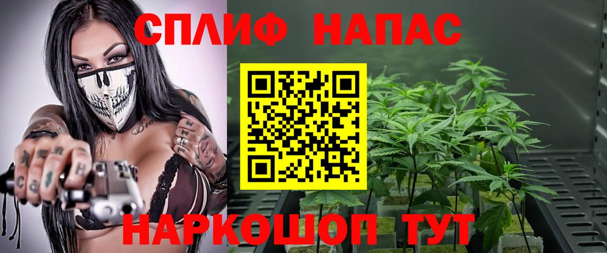Каннабис конопля  МАРИХУАНА гибрид  Сальск  Каннабис VHQ  Вход с VPN  МАРИХУАНА OG Kush 